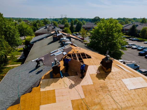 Best Metal Roofing Contractor  in Bridgeville, PA