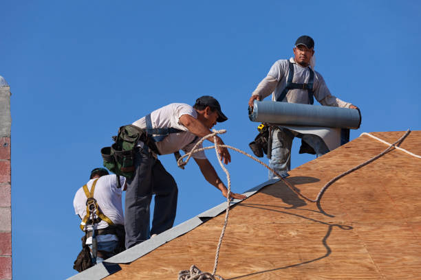 Best Local Roofing Companies  in Bridgeville, PA