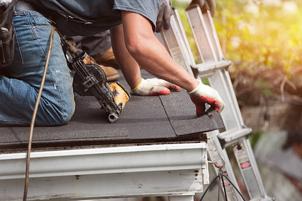Best Gutter Installation and Roofing  in Bridgeville, PA